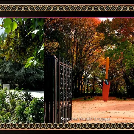 Hotel Jaguar - Airport To And Center And Vice-versa Is A Free And Continuous Shuttle Service From 7am To 8pm 4*